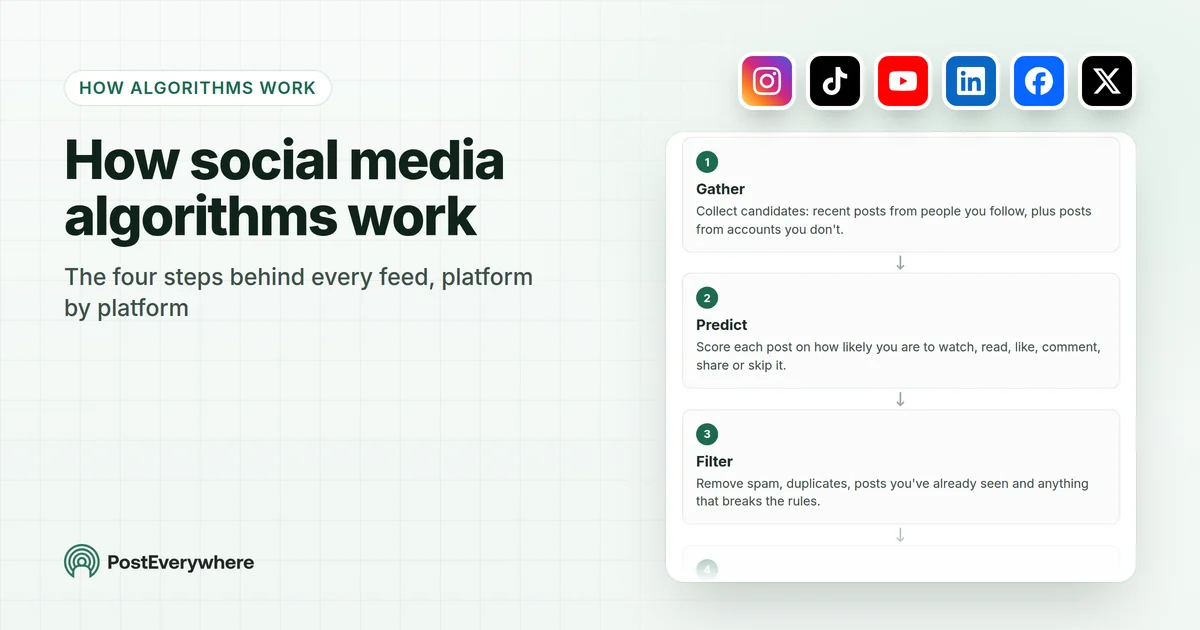 How social media algorithms work: the four steps behind every feed, platform by platform